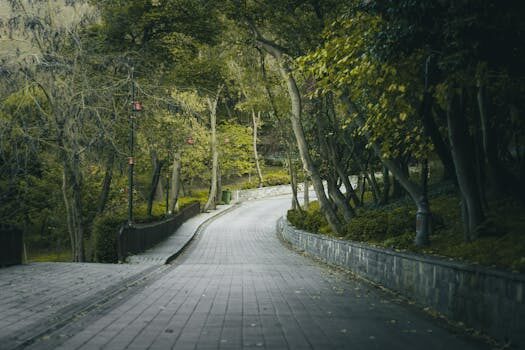 Abogados en Asesor.Legal | Asesoría legal para Reclamación por dirección mal reparada que genera riesgo de accidente Abogados en Asesor.Legal reclamacion por direccion mal reparada que genera riesgo de accidente 5