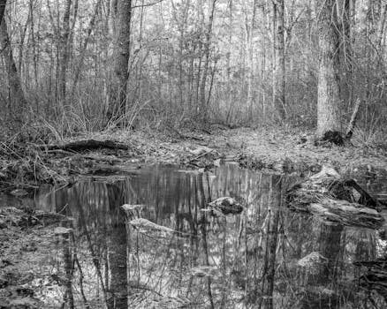 Abogados en Asesor.Legal | Asesoría legal para Reclamar a Neinor Homes por desperfectos en vivienda nueva: pasos recomendados por abogados Abogados en Asesor.Legal reclamar a neinor homes por desperfectos en vivienda nueva pasos recomendados por abogados 4