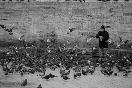 Abogados en Asesor.Legal | Asesoría legal para ¡Regularízate YA en España!: requisitos de arraigo social 2026 Abogados en Asesor.Legal regularizate ya en espana requisitos de arraigo social 2026 3