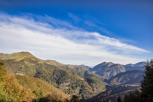 Abogados en Asesor.Legal requisitos para la jubilacion anticipada en espana 4