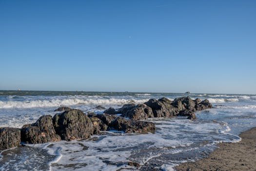 Abogados en Asesor.Legal requisitos para la jubilacion anticipada en espana 5