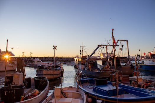 Abogados en Asesor.Legal responsabilidad de fortia energia por danos en equipos electricos 1