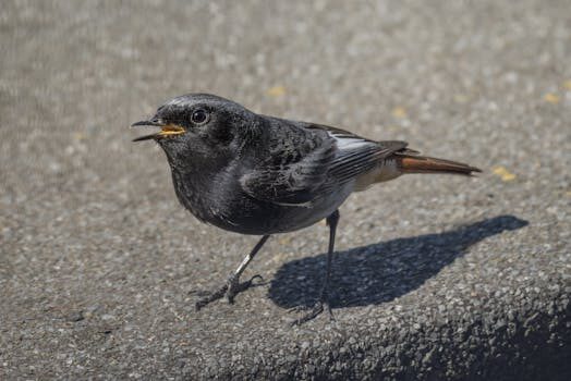Abogados en Asesor.Legal teramelcor mantiene la domiciliacion y sigue cobrando como reclamar 2