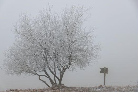 Abogados en Asesor.Legal teramelcor mantiene la domiciliacion y sigue cobrando como reclamar 3