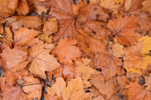 Abogados en Asesor.Legal | Asesoría legal para Utiliza nuestro asistente virtual con IA para ayudarte con multas de aparcamiento Abogados en Asesor.Legal utiliza nuestro asistente virtual con ia para ayudarte con multas por aparcamiento 2