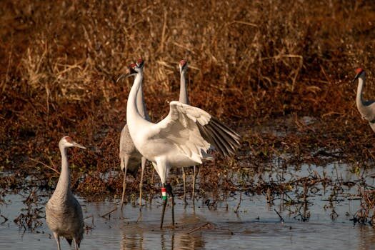 Abogados en Asesor.Legal | Asesoría legal para Utiliza nuestro asistente virtual con IA para ayudarte con reclamaciones bancarias Abogados en Asesor.Legal utiliza nuestro asistente virtual con ia para ayudarte con reclamaciones bancarias 1