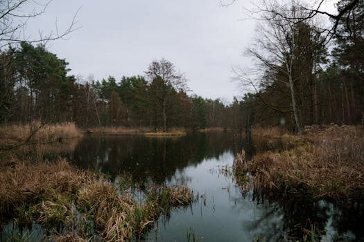 Abogados en Asesor.Legal | Asesoría legal para Vañó: abogado para demandar por vicios ocultos en la instalación del contador de agua Abogados en Asesor.Legal vano abogado para demandar por vicios ocultos en la instalacion del contador de agua 2