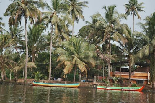 Abogados en Asesor.Legal vilma oil reclama consumos en viviendas okupadas 3