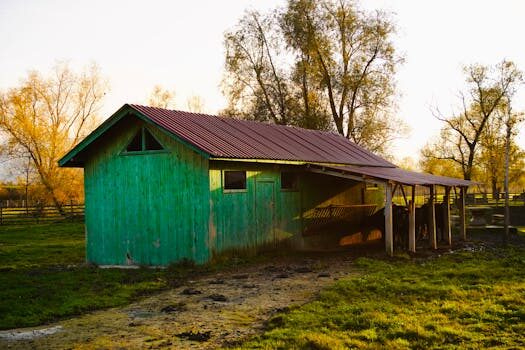 Abogados en Asesor.Legal | Asesoría legal para Vivienda con goteras de Amenabar: soluciones y consejos Abogados en Asesor.Legal vivienda con goteras de amenabar 3