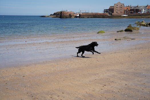 Abogados en Asesor.Legal | Asesoría legal para Abandono del hogar: cuándo consultar con un abogado de familia antes de decisiones precipitadas Abogados en Asesor.Legal abandono del hogar cuando es imprescindible consultar con un abogado de familia antes de tomar decisiones precipitadas 2