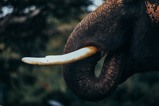 Abogados en Asesor.Legal | Asesoría legal para Abogado de protección de datos: cuándo es imprescindible para tu empresa Abogados en Asesor.Legal abogado de proteccion de datos cuando es imprescindible para tu empresa 5