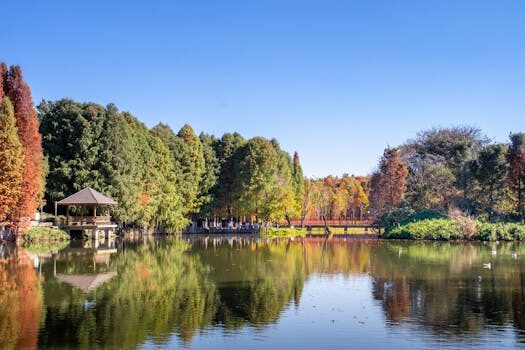 Abogados en Asesor.Legal abogados que hablan chino por que es util en negocios con china y hong kong 1