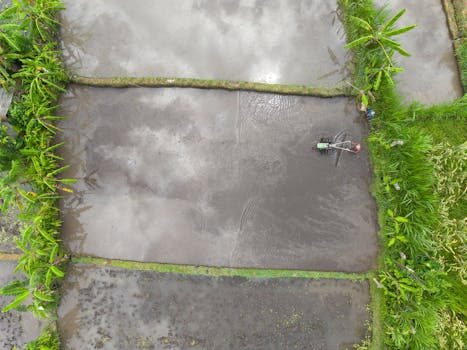 Abogados en Asesor.Legal | Asesoría legal para Absorciones empresariales: por qué es imprescindible un abogado mercantil Abogados en Asesor.Legal absorciones empresariales por que es imprescindible un abogado mercantil 2