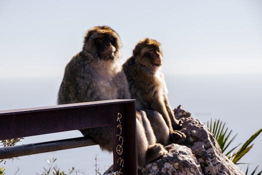 Abogados en Asesor.Legal accidentes en el mar cuando necesitas un abogado maritimo para defender tus derechos 5
