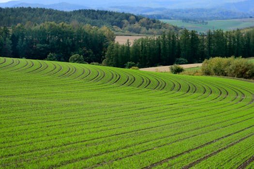 Abogados en Asesor.Legal administracion de comunidades de propietarios como apoya un abogado al administrador en conflictos legales 4