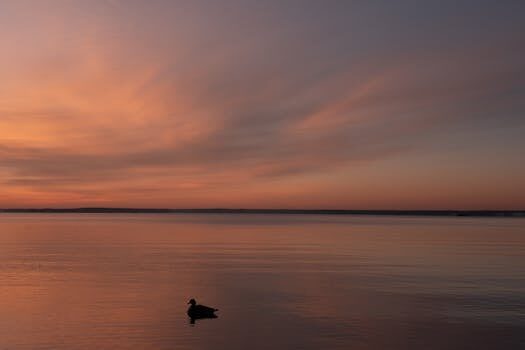 Abogados en Asesor.Legal allanamiento de morada como te defiende un abogado si te acusan o si eres victima y quieres denunciar 1