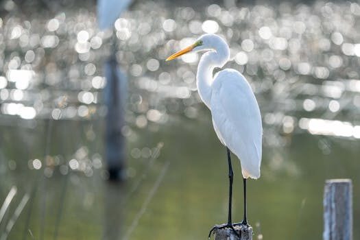 Abogados en Asesor.Legal alquiler turistico airbnb como declararlo en 2026 y que cruces hace hacienda 3