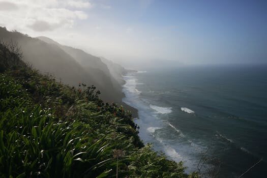 Abogados en Asesor.Legal alquiler turistico como te asesora un abogado en licencias y conflictos con la comunidad 5