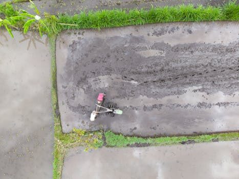 Abogados en Asesor.Legal asesores de negocios y fiscalidad por que conviene contar con un abogado para decisiones estrategicas 3