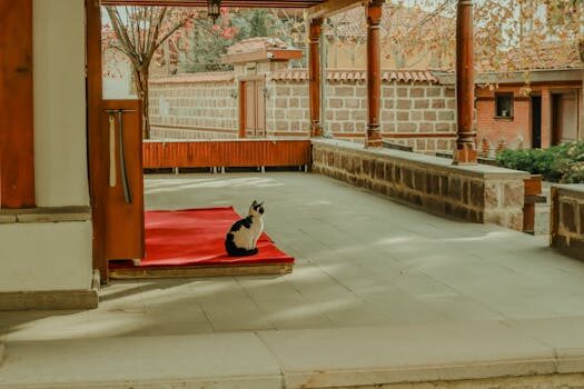 Abogados en Asesor.Legal asilo y refugio por que es imprescindible un abogado en solicitudes y recursos 1