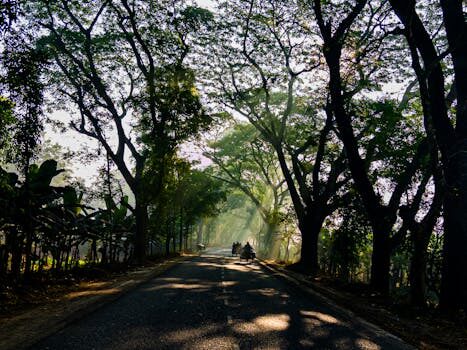 Abogados en Asesor.Legal atropello ciclista cuando un abogado es imprescindible para la victima 1