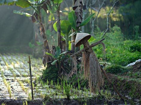 Abogados en Asesor.Legal | Asesoría legal para Auditorías de protección de datos: por qué es útil contar con un abogado y no solo con técnicos Abogados en Asesor.Legal auditorias de proteccion de datos por que es util contar con un abogado y no solo con tecnicos 1