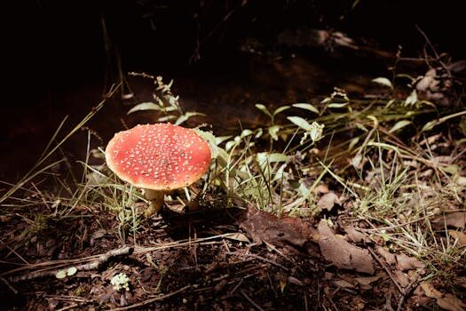 Abogados en Asesor.Legal bbva y clausula suelo respuestas a reclamaciones y como contraatacar en 2026 4