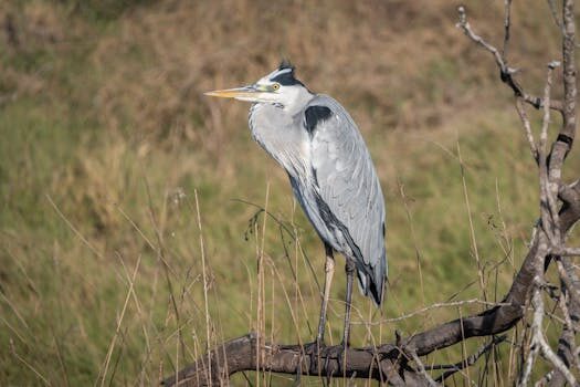 Abogados en Asesor.Legal cambio de residencia fiscal y riesgos con hacienda 1