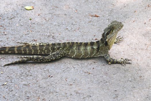 Abogados en Asesor.Legal canon digital como te asesora un abogado sobre tasas por copias y dispositivos 2
