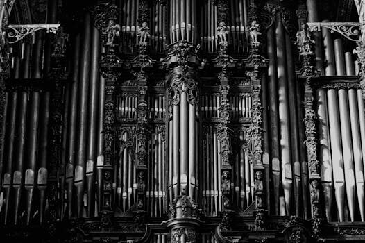 Abogados en Asesor.Legal como ordenar en una tarde cartas notificaciones y extractos para pedir ayuda ya 2