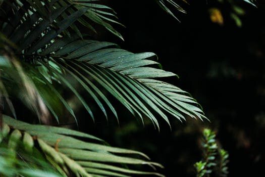 Abogados en Asesor.Legal como preparar un calendario de pagos y vencimientos para tu caso 1