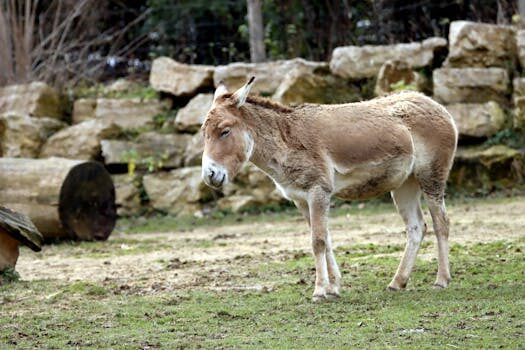 Abogados en Asesor.Legal como reconstruir deudas si solo tienes capturas y movimientos 3