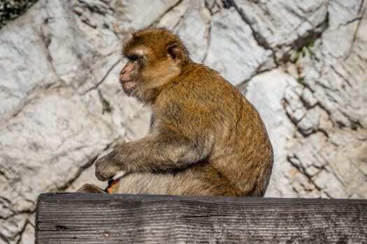 Abogados en Asesor.Legal conflictos familiares que puede hacer por ti un abogado de familia antes de que el problema llegue a juicio 4