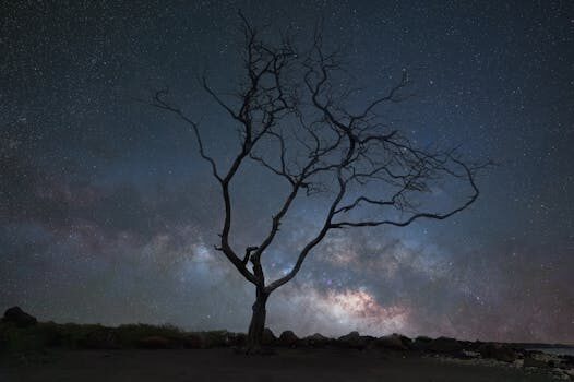 Abogados en Asesor.Legal constitucion de sucursales y filiales por que necesitas un abogado si tu empresa se expande 1