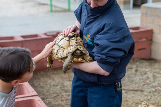 Abogados en Asesor.Legal contratacion del sector publico como te acompana un abogado desde la licitacion hasta la firma del contrato 1