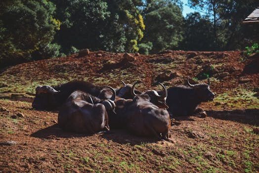 Abogados en Asesor.Legal contrato de compraventa importancia de que un abogado lo redacte para evitar sorpresas posteriores 1