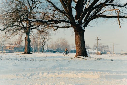 Abogados en Asesor.Legal | Asesoría legal para Creación de asociaciones deportivas: por qué hablar con un abogado antes de registrar el club Abogados en Asesor.Legal creacion de asociaciones deportivas por que deberias hablar con un abogado antes de registrar el club 1