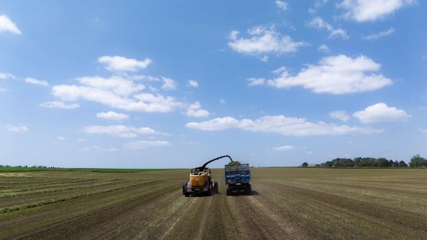 Abogados en Asesor.Legal | Asesoría legal para Cuándo NO conviene esperar: escenarios que empeoran rápido Abogados en Asesor.Legal cuando no conviene esperar escenarios que empeoran rapido 4