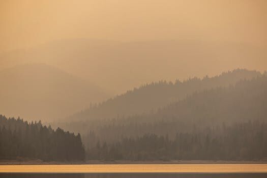 Abogados en Asesor.Legal datos fiscales 2026 que son como descargarlos y que revisar antes de confirmar 2