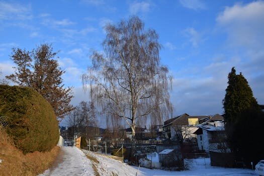 Abogados en Asesor.Legal deducciones por vivienda habitual que puedes aplicar realmente en la renta 2026 2