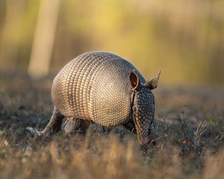 Abogados en Asesor.Legal | Asesoría legal para Delito ecológico agravado: cómo actuar ante una investigación y atenuantes aplicables Abogados en Asesor.Legal delito ecologico agravado como actuar ante una investigacion y que atenuantes pueden aplicarse 2