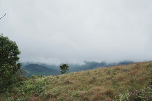 Abogados en Asesor.Legal | Asesoría legal para Delito medioambiental: cómo actuar si tu empresa recibe una acusación y preparar la defensa Abogados en Asesor.Legal delito medioambiental como actuar si tu empresa recibe una acusacion y como preparar la defensa 1