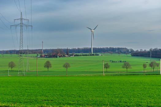 Abogados en Asesor.Legal | Asesoría legal para Delito medioambiental: cómo actuar si tu empresa recibe una acusación y preparar la defensa Abogados en Asesor.Legal delito medioambiental como actuar si tu empresa recibe una acusacion y como preparar la defensa 2