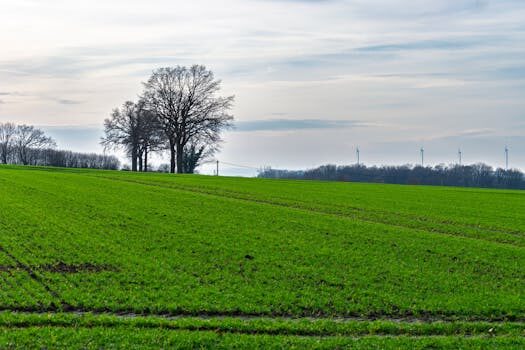Abogados en Asesor.Legal | Asesoría legal para Delito medioambiental: cómo actuar si tu empresa recibe una acusación y preparar la defensa Abogados en Asesor.Legal delito medioambiental como actuar si tu empresa recibe una acusacion y como preparar la defensa 3