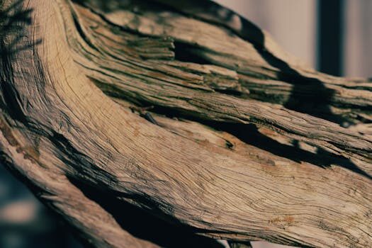 Abogados en Asesor.Legal delitos ecologicos como te ayuda un abogado si te investigan por vertidos o danos ambientales 4