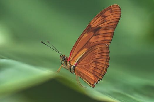 Abogados en Asesor.Legal delitos por especies protegidas como te asesora un abogado ambientalista 1