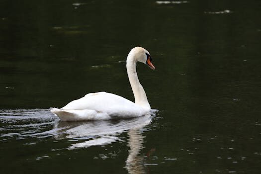 Abogados en Asesor.Legal derecho a la propia imagen cuando conviene contratar un abogado en casos de fotos o videos no consentidos 1