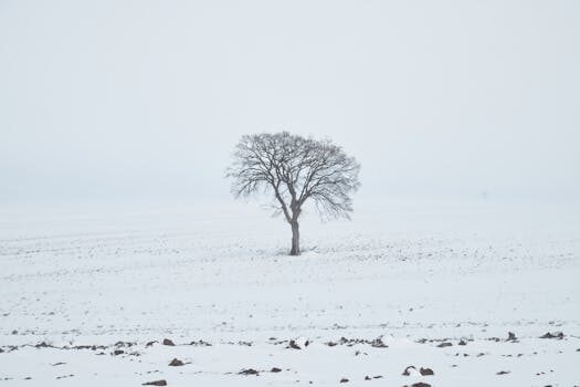 Abogados en Asesor.Legal | Asesoría legal para Derechos de autor: por qué es clave contar con un abogado para contratos de cesión y explotación Abogados en Asesor.Legal derechos de autor por que es clave contar con un abogado para contratos de cesion y explotacion 3