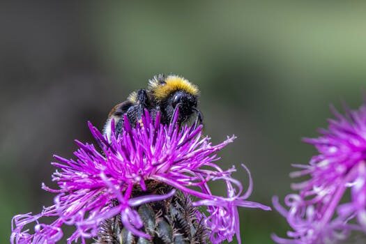 Abogados en Asesor.Legal derechos de imagen cuando necesitas un abogado si usan tu imagen sin permiso 2