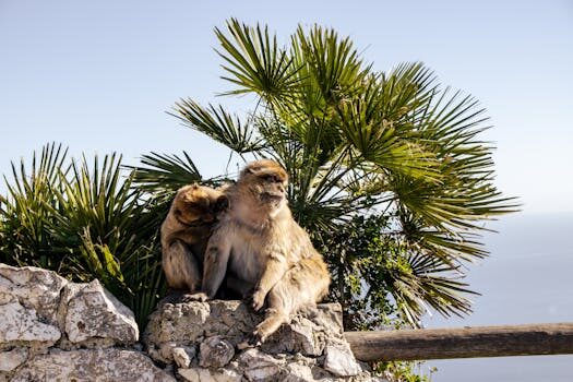 Abogados en Asesor.Legal disputas maritimas por que es clave un abogado especializado en litigios navales 4